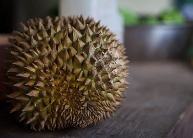 Illustration for article titled What Happens When You Do a Chemical Analysis on the Durian Fruit?
